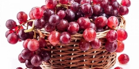 Kako napraviti domaće vino od crnog grožđa